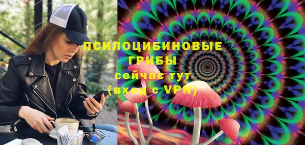 ПСИЛОЦИБИНОВЫЕ ГРИБЫ Алексин