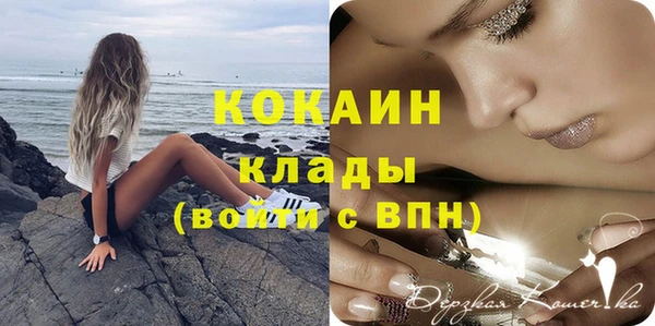 индика Надым