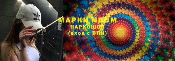 индика Надым