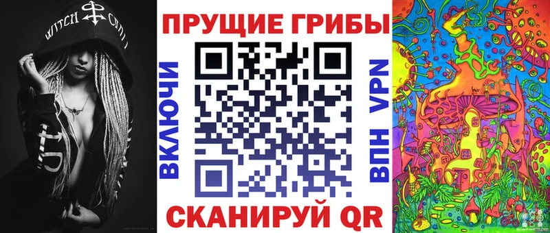 Псилоцибиновые грибы Psilocybine cubensis  Себеж 